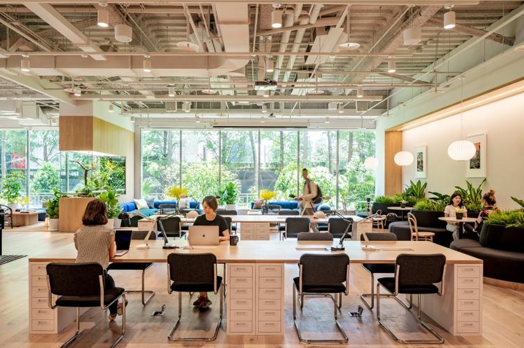 WeWork