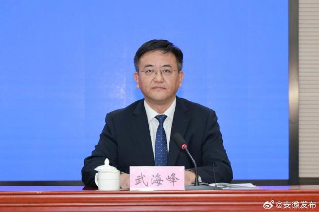 武海峰 安徽省科技厅