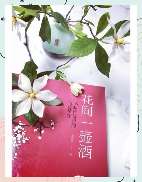 花间一壶酒TXT飞天小