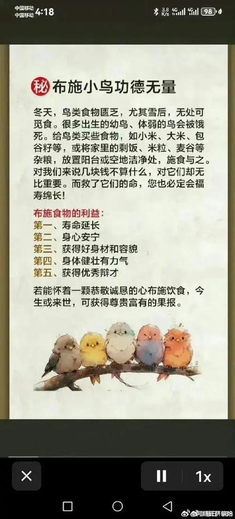 小鸟布施后千万不能随便施