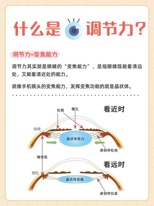 王者荣耀怎么调整视野