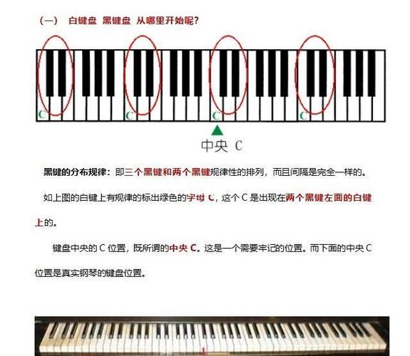弹琴教程