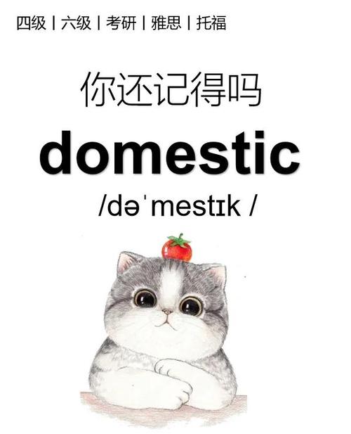 和domestic很像的一个单词