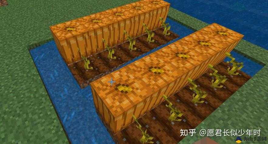 我的世界怎么种南瓜游戏截图