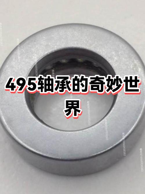 奇妙的495发现了什么