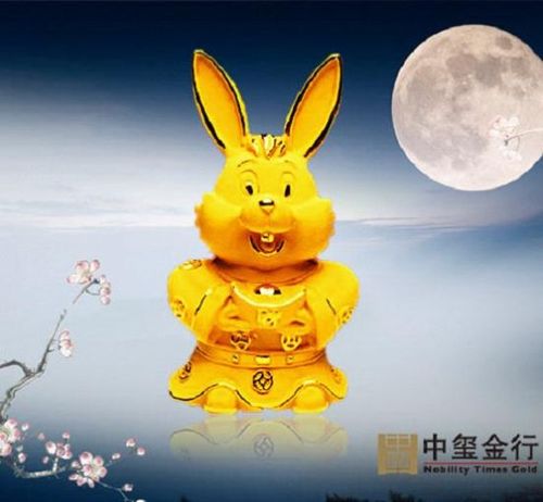 玉兔网转发