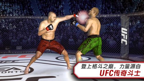 UFC终极格斗冠军安卓版