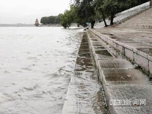 哈尔滨水文24实时水位