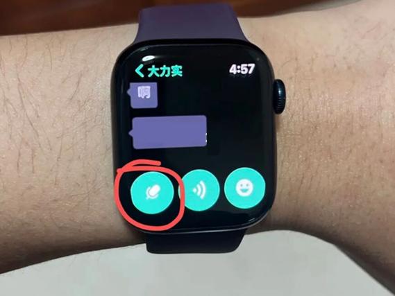苹果手表来微信语音没有提示缩略图