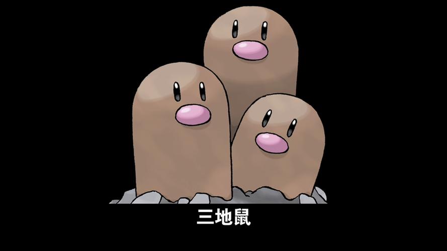 神奇宝贝三地鼠下半身