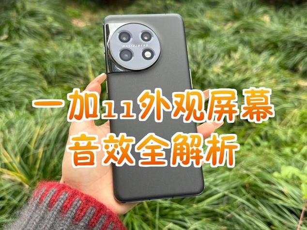 一加11拍照排行怎么样
