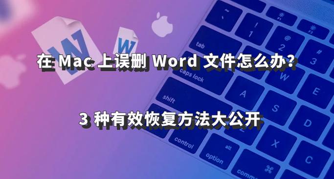 苹果电脑word收费