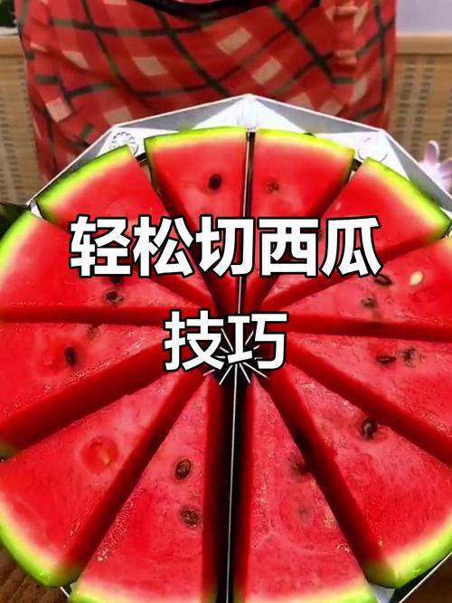 大头切西瓜56