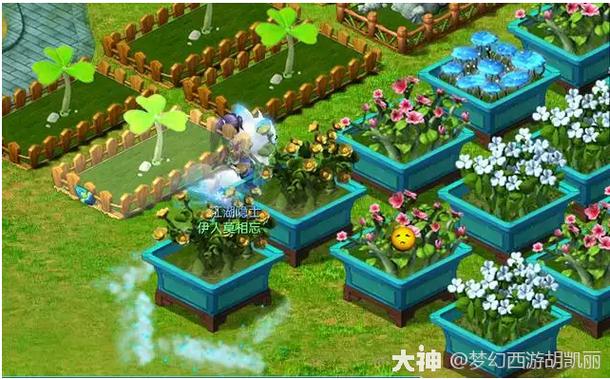 梦幻西游庭院奖励机制