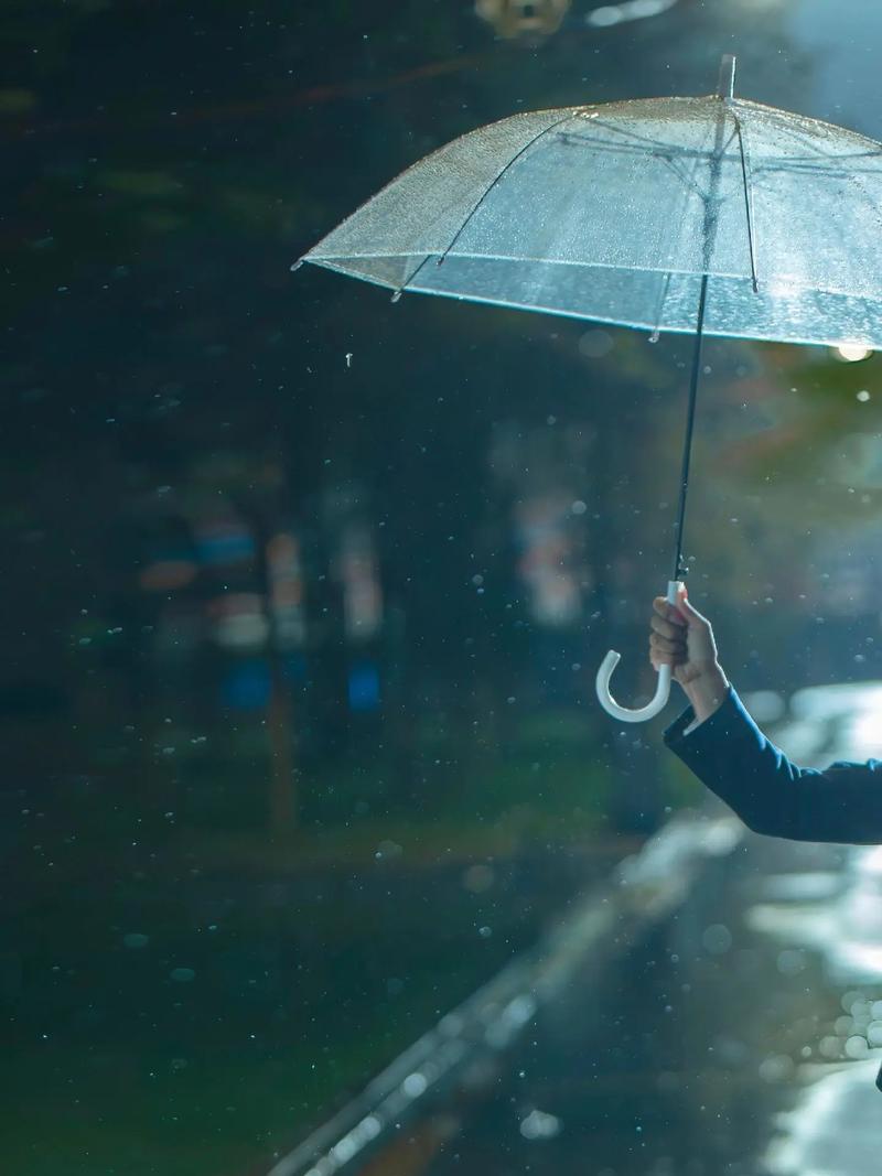 撑伞也是雨中人
