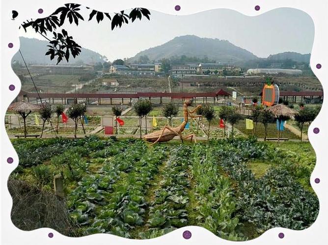 一亩耘心农业开发有限公司缩略图