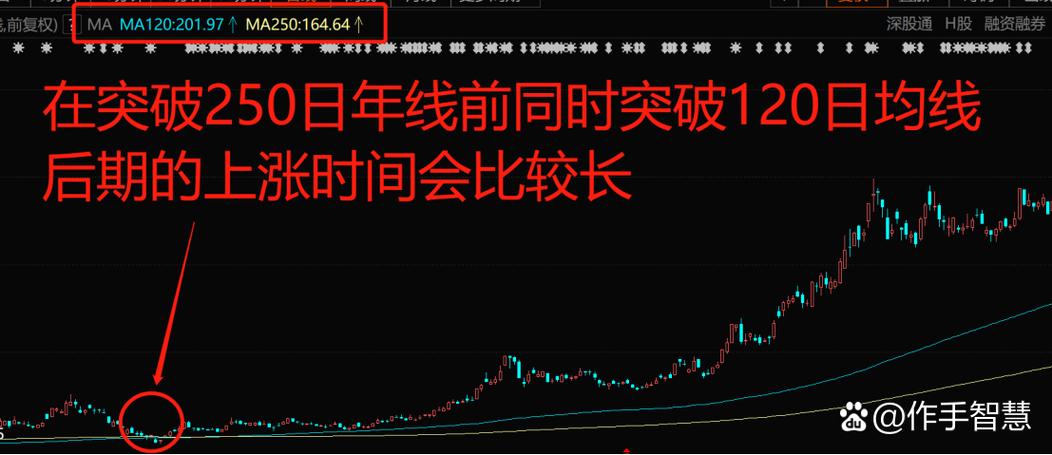 股票250日均线在哪看