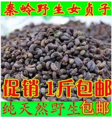 女贞子一天用量多少克