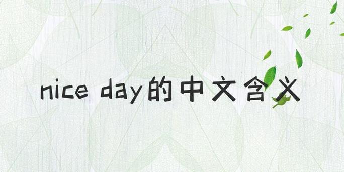Niceday是什么意思