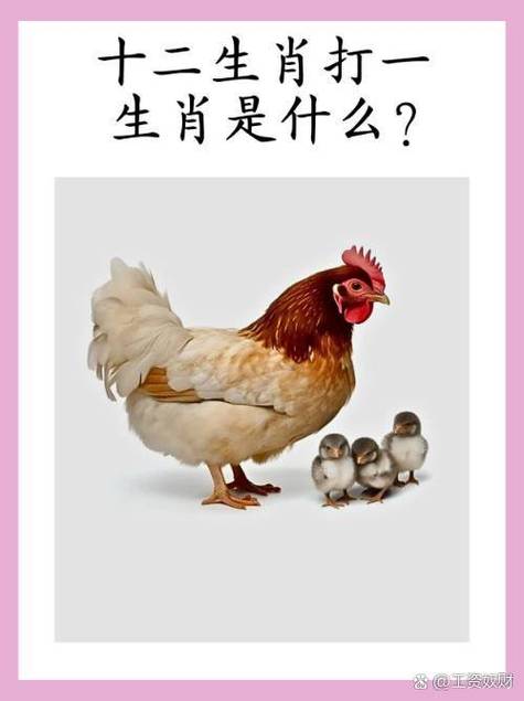 仙字打一最准确生肖