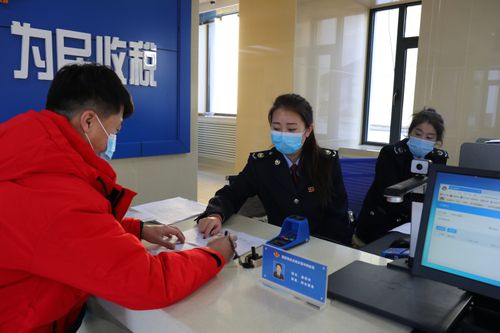 辽宁国税局网上办税厅