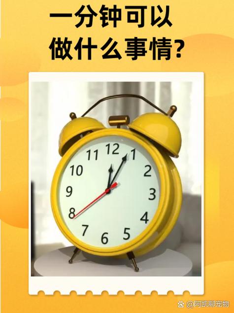 我们一分钟可以干什么