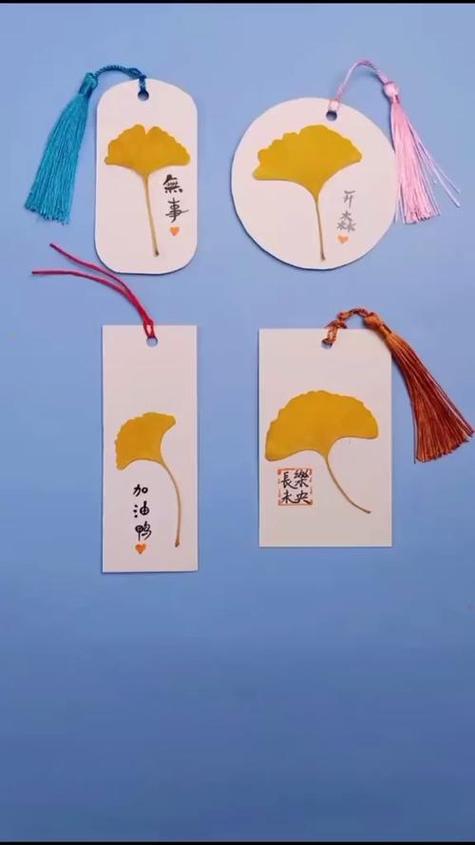 用真树叶做书签
