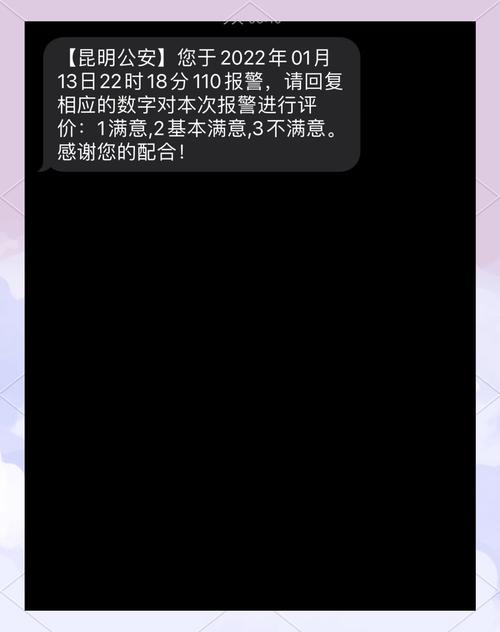 ipad被偷最终找回