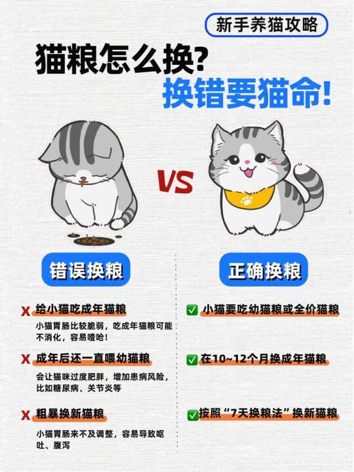 猫换粮的10大忌