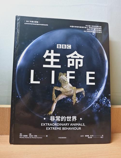 哥罗酉书生命读经游戏截图