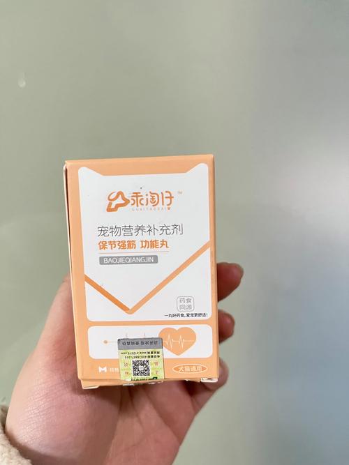 电脑怎么强行退出页面