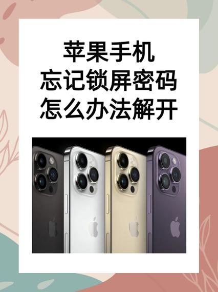 苹果手机支付密码忘了怎么找回