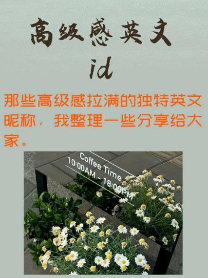 coisini中文怎么读