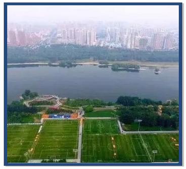 8号公园