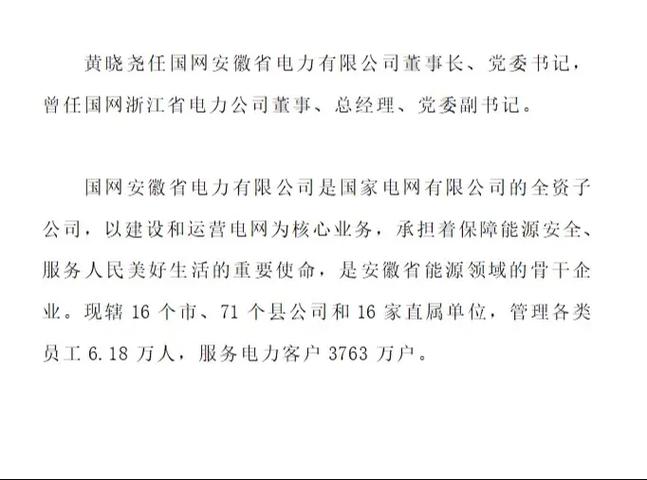 安徽电力公司电话号码缩略图