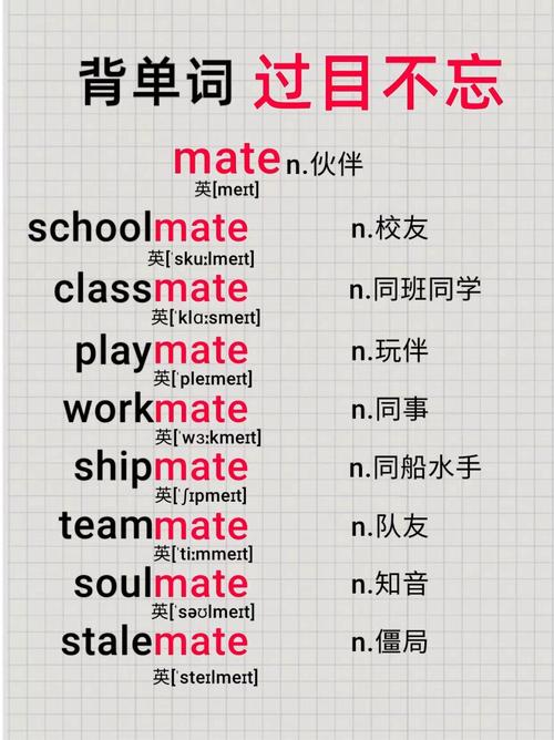 metformin翻译中文