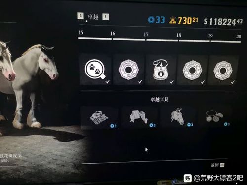 大镖客ol物品栏满了
