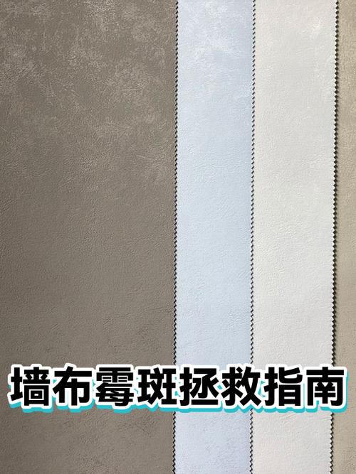 墙布上的霉斑怎么去除