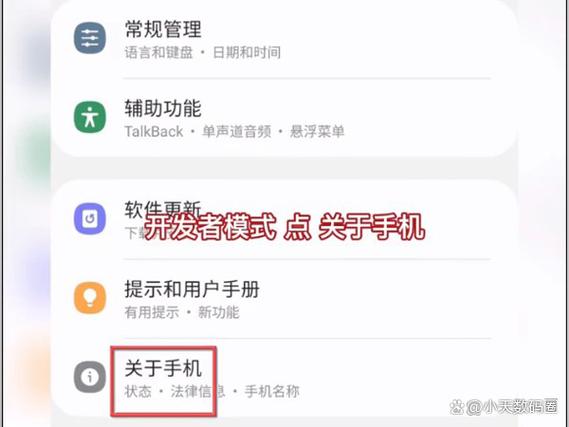 步步高如何进入开发者模式?