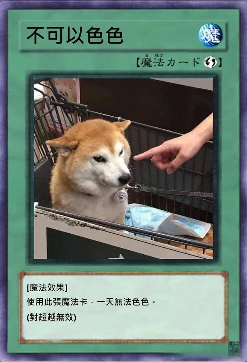桃隐二维码小黑屋二岗