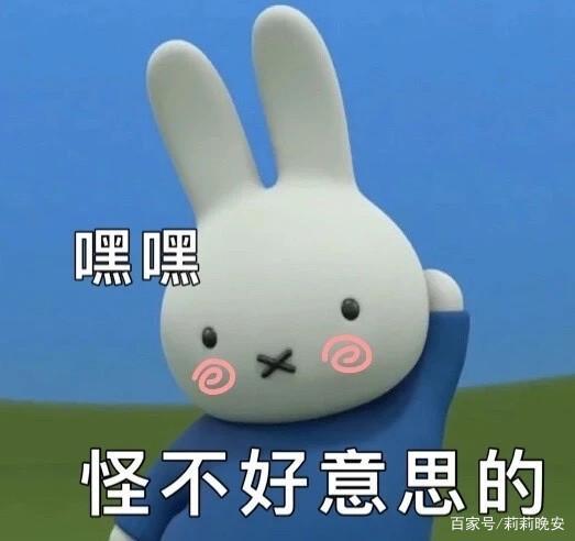 调皮的表情包
