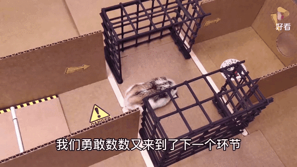 动画片小仓鼠历险记