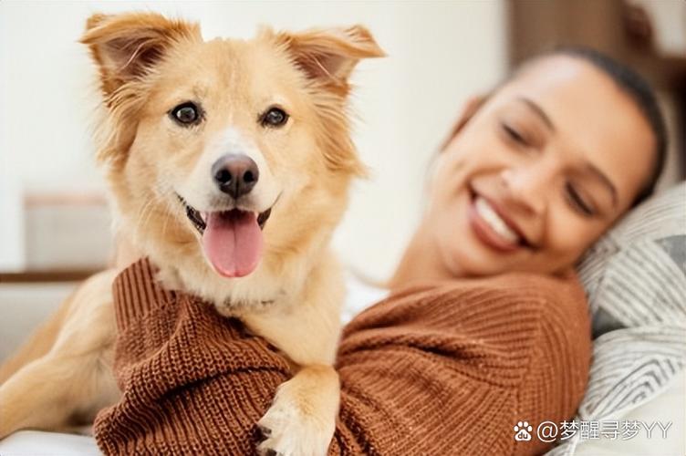 狗狗可以送人吗