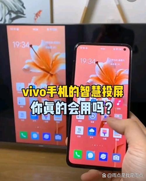 vivo手机镜像模式使用方法缩略图