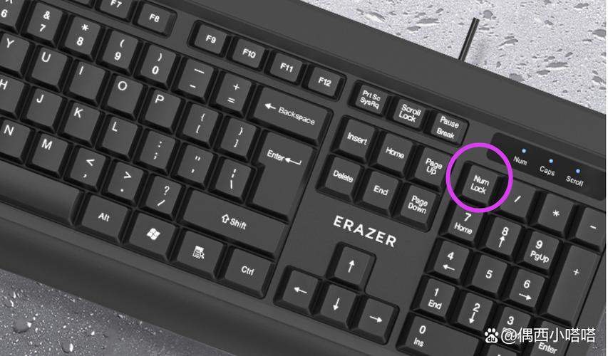电脑上一个格子打字不够