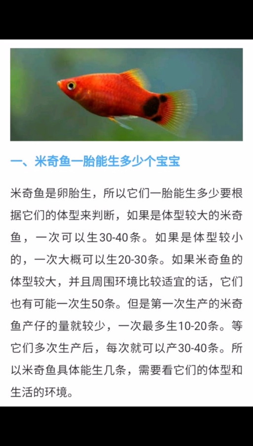 小鱼崽怎么养才能养活