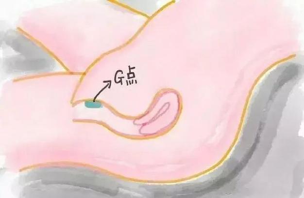 怎么找小豆豆的基本手法