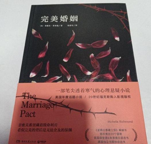 完美联姻全文阅读