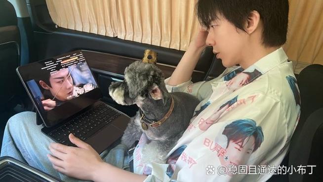 免费追剧电视剧大全追剧狗