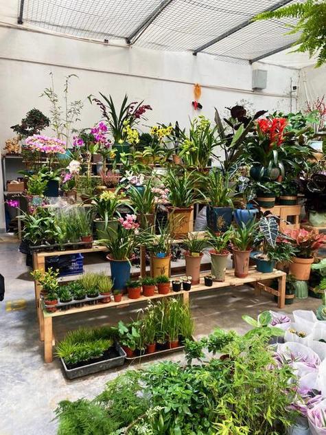 天津市花卉市场有哪些缩略图